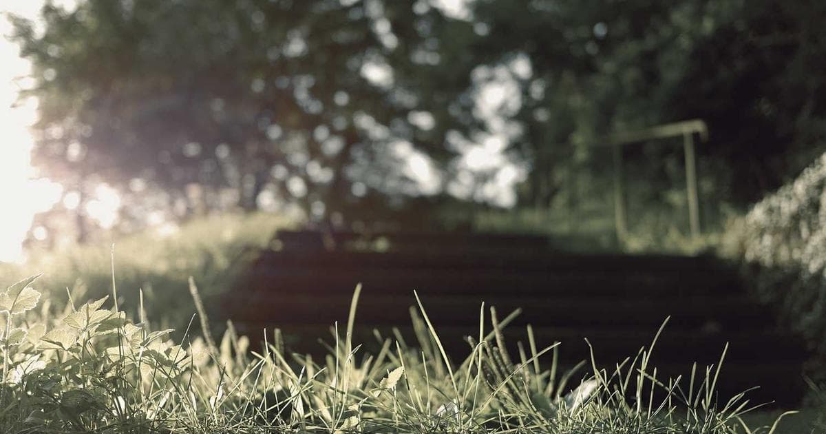 Bienvenida al Nuevo Blog